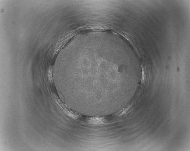 X0000056330335200508261227