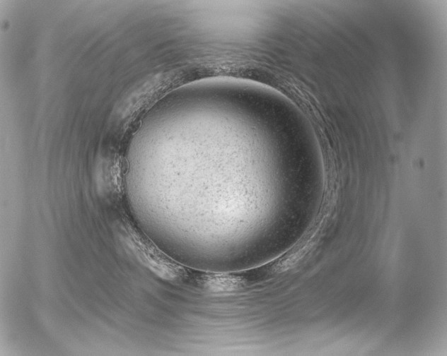 X0000056330336200508261227