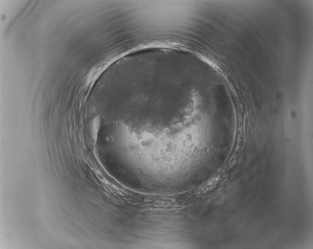 X0000056330337200508261226