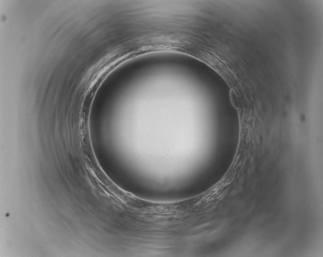 X0000056330338200508261226