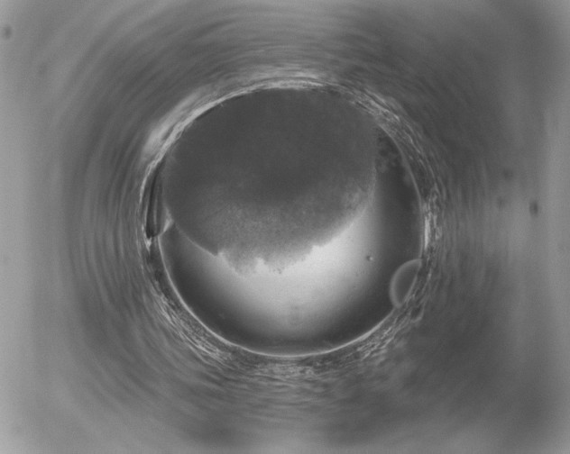 X0000056330339200508261226