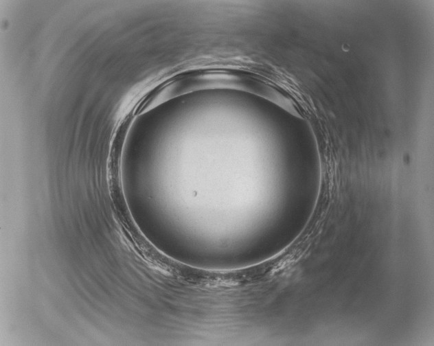 X0000056330340200508261226