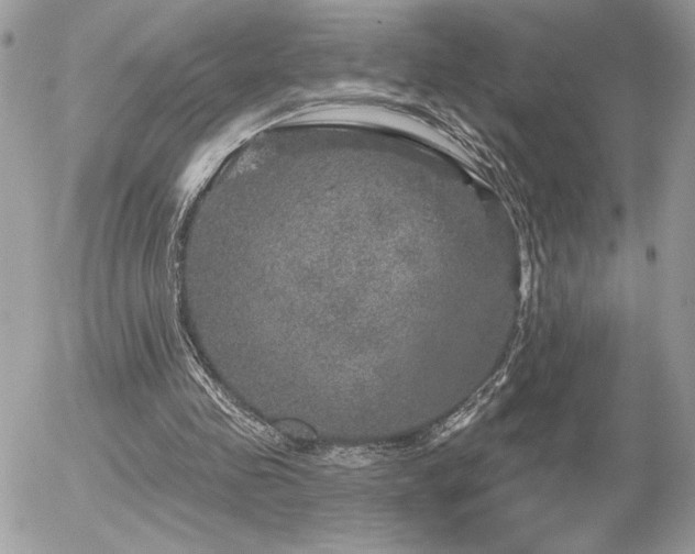 X0000056330341200508261226