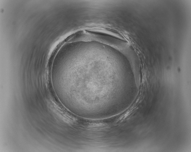 X0000056330342200508261226