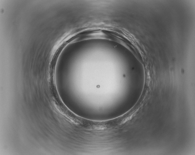 X0000056330344200508261226