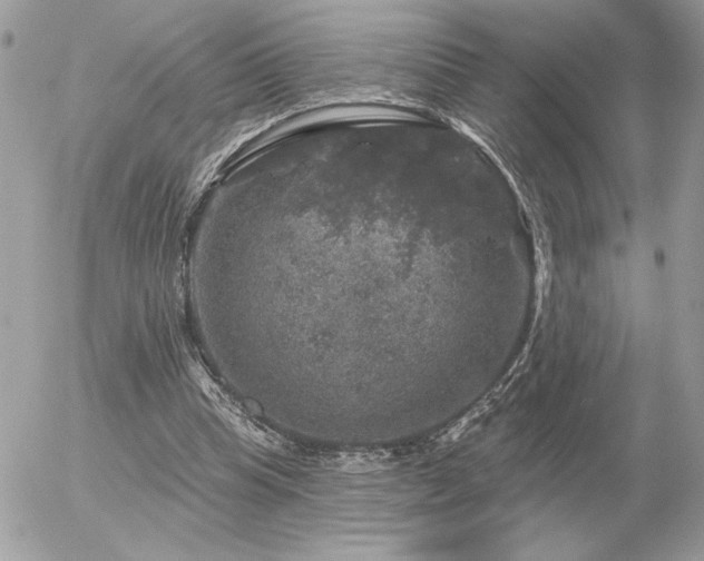 X0000056330345200508261226