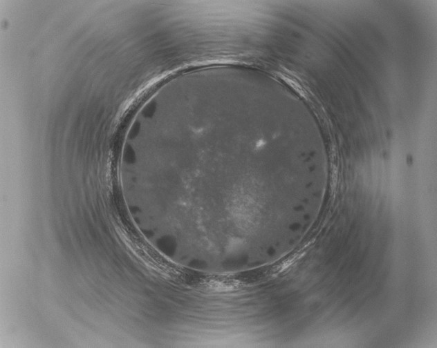 X0000056330346200508261226