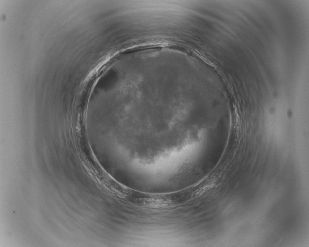 X0000056330347200508261226