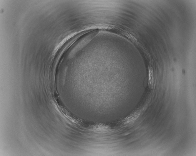 X0000056330348200508261226