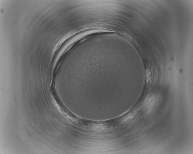 X0000056330349200508261226