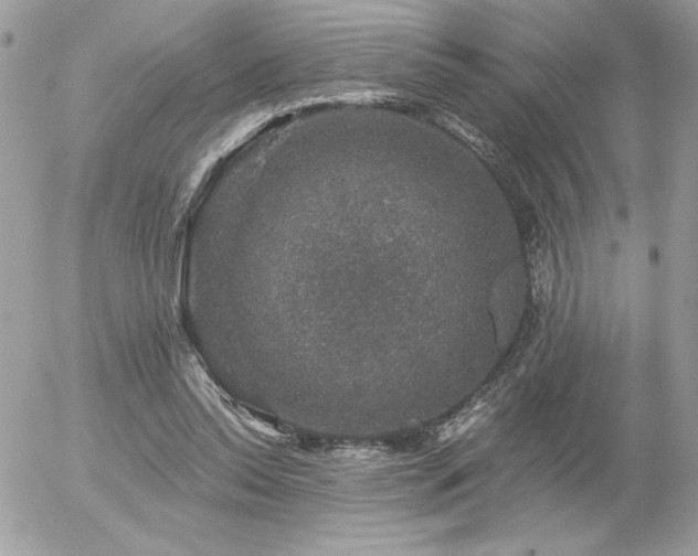 X0000056330350200508261226