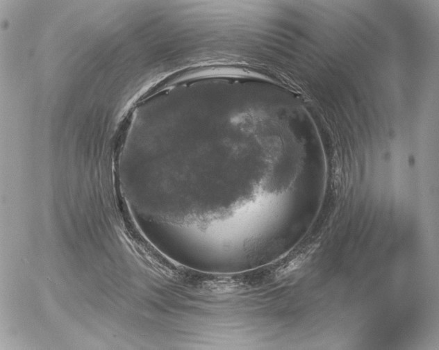 X0000056330351200508261226