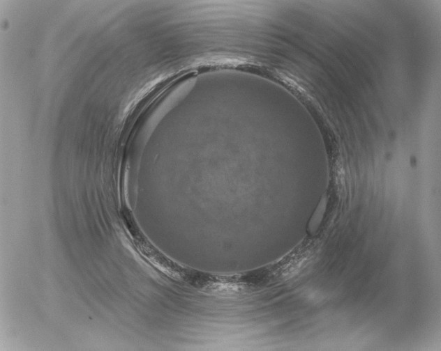 X0000056330352200508261226