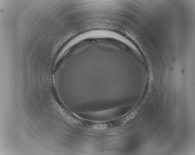 X0000056330353200508261226