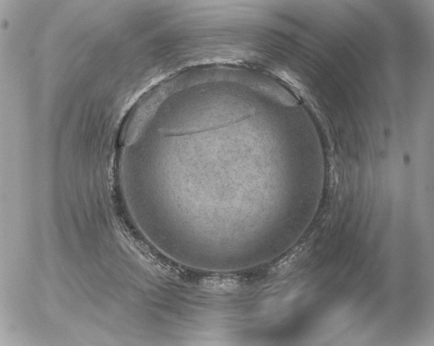 X0000056330354200508261226