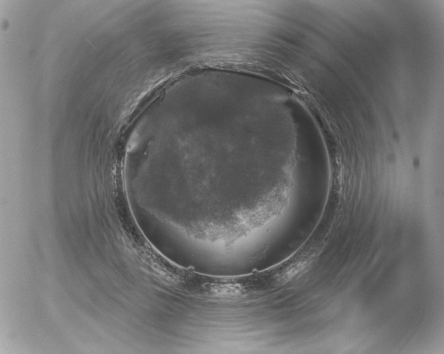 X0000056330355200508261226