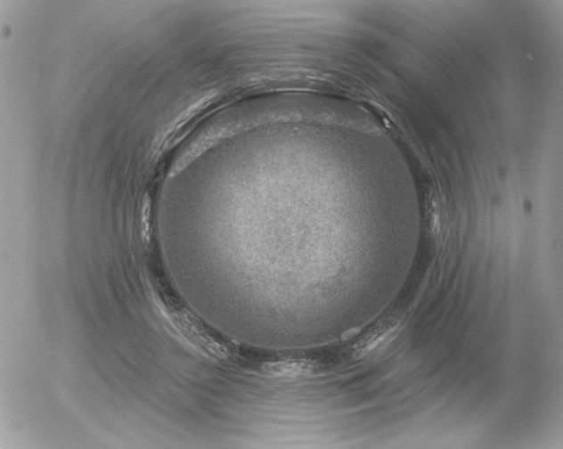 X0000056330356200508261226