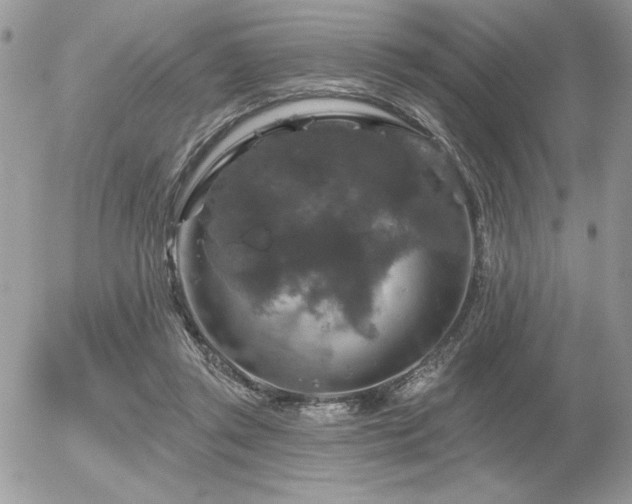 X0000056330357200508261226