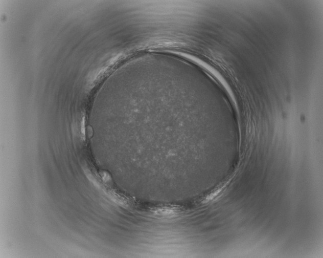 X0000056330358200508261226