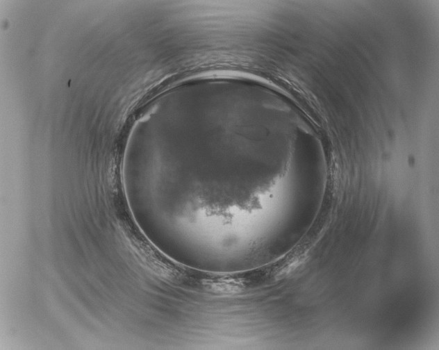 X0000056330359200508261226