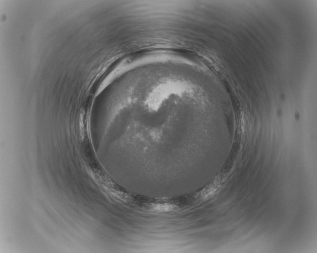 X0000056330360200508261226