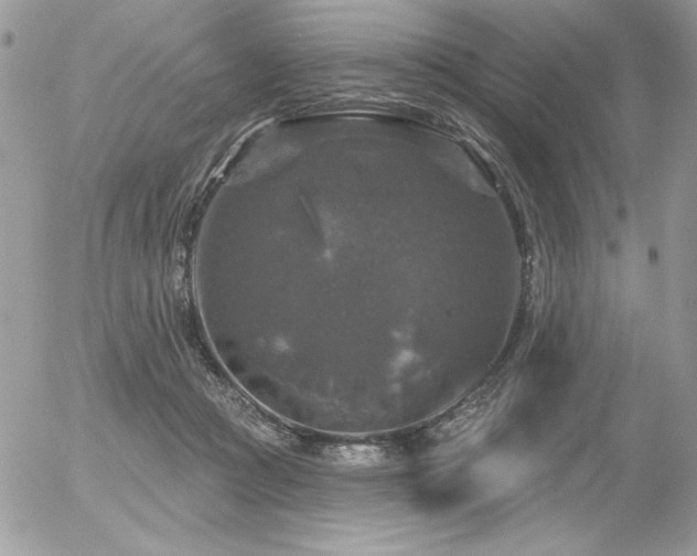 X0000056330361200508261226