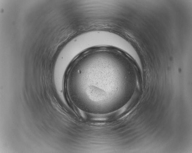 X0000056330362200508261226