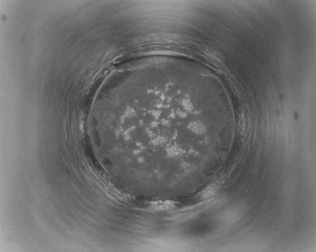 X0000056330363200508261226