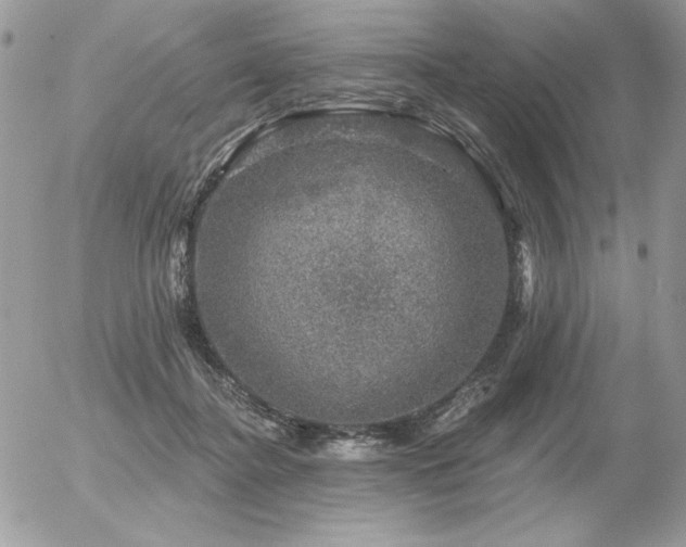 X0000056330364200508261226