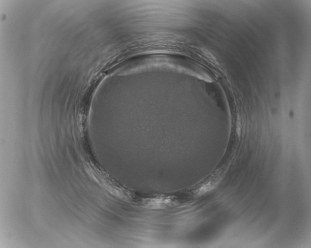 X0000056330366200508261226