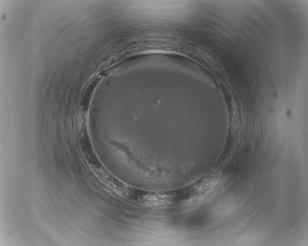 X0000056330367200508261226