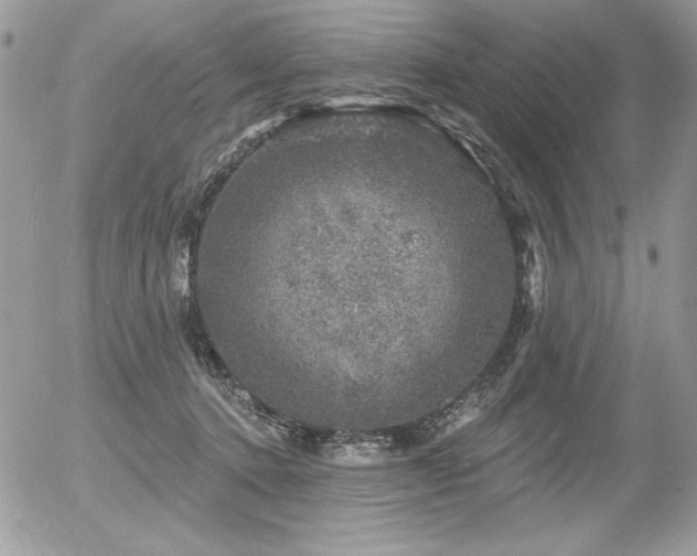 X0000056330368200508261227