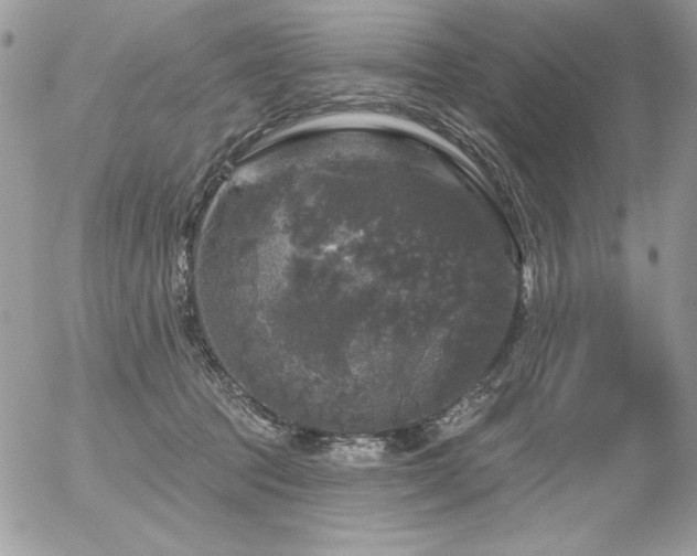 X0000056330369200508261227