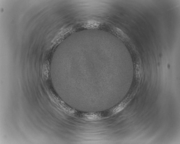 X0000056330370200508261227