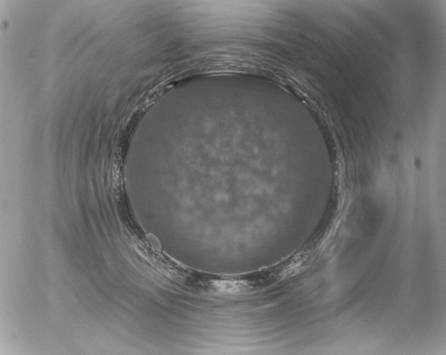 X0000056330371200508261227