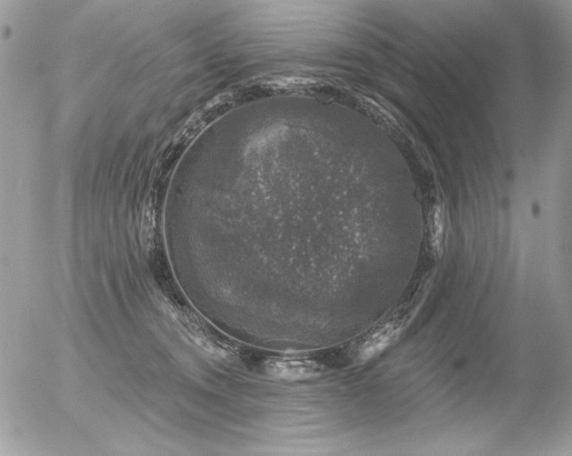 X0000056330372200508261227