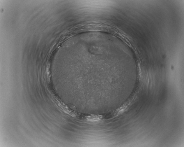 X0000056330373200508261227