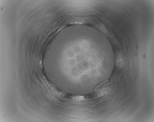 X0000056330374200508261227