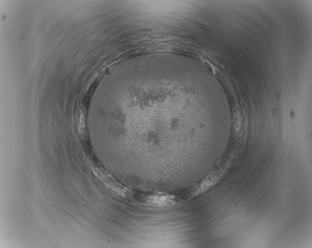 X0000056330375200508261227