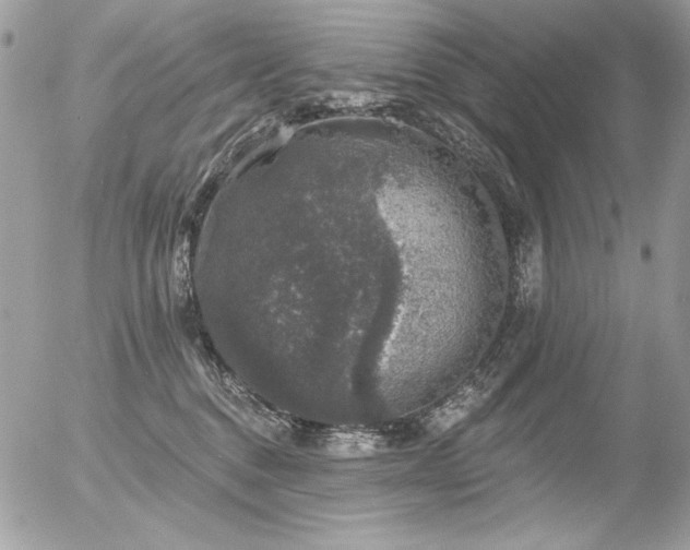 X0000056330376200508261227