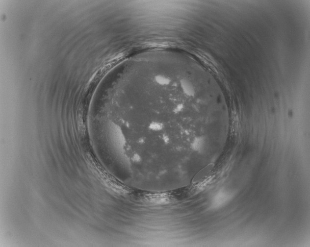 X0000056330377200508261227