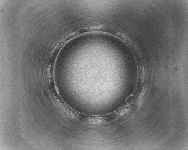 X0000056330378200508261227