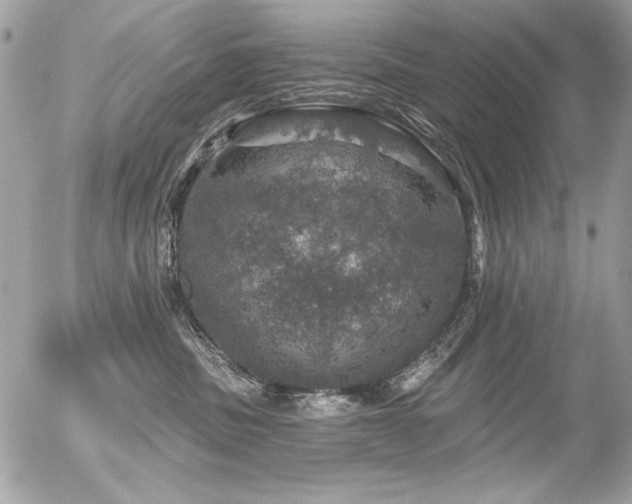 X0000056330379200508261227