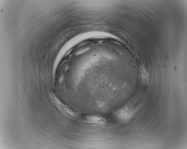 X0000056330380200508261227