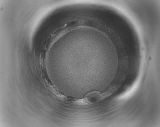 X0000056330382200508261227