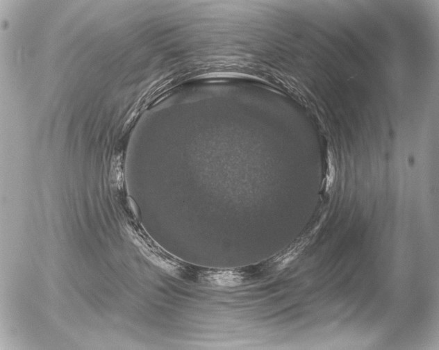 X0000056330383200508261227