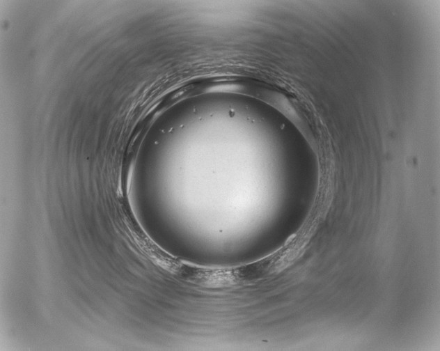 X0000056330384200508261227