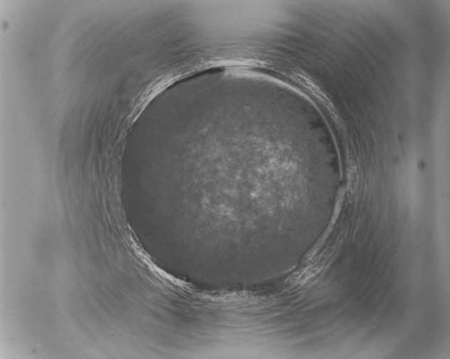 X0000056330385200508261226