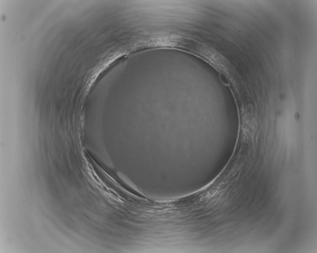 X0000056330386200508261226