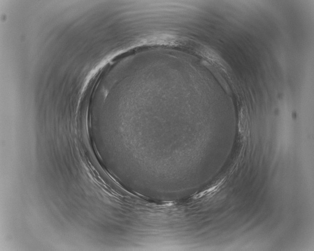 X0000056330388200508261226